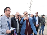  کاشت 12 اصله نهال در مراغه به یاد اهداکنندگان عضو