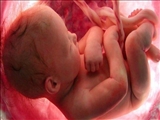 با تلاش های تیم سلامت هفت مادر باردار از سقط فرزند خود منصرف شدند
