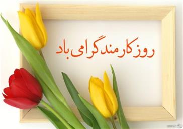 برگزاری جشنواره های غذا و صبحانه سالم در مدارس مختلف شهرستان مراغه