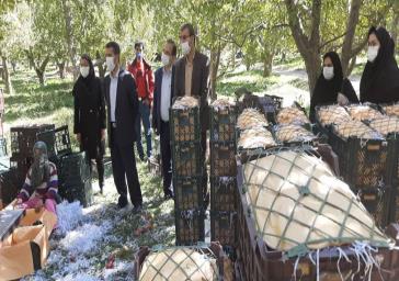 دومین نشست اعضای هیات امناء دانشکده علوم پزشکی مراغه برگزار شد