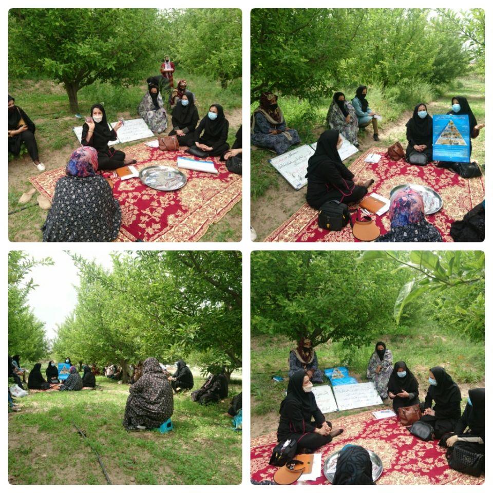 معاون درمان و رئیس اداره اورژانس دانشکده علوم پزشکی مراغه معرفی شدند