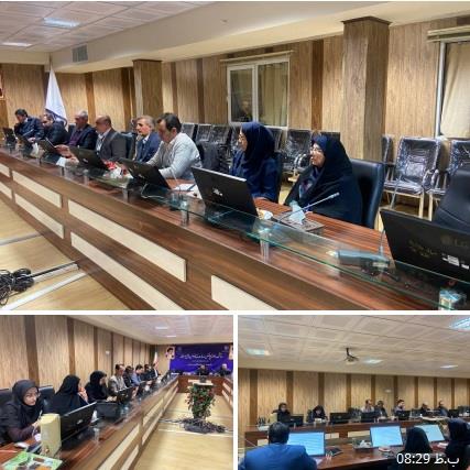  اولین پروانه ساخت کارگاهی برای تولید پنیرهای سنتی در شهرستان مراغه صادر شد
