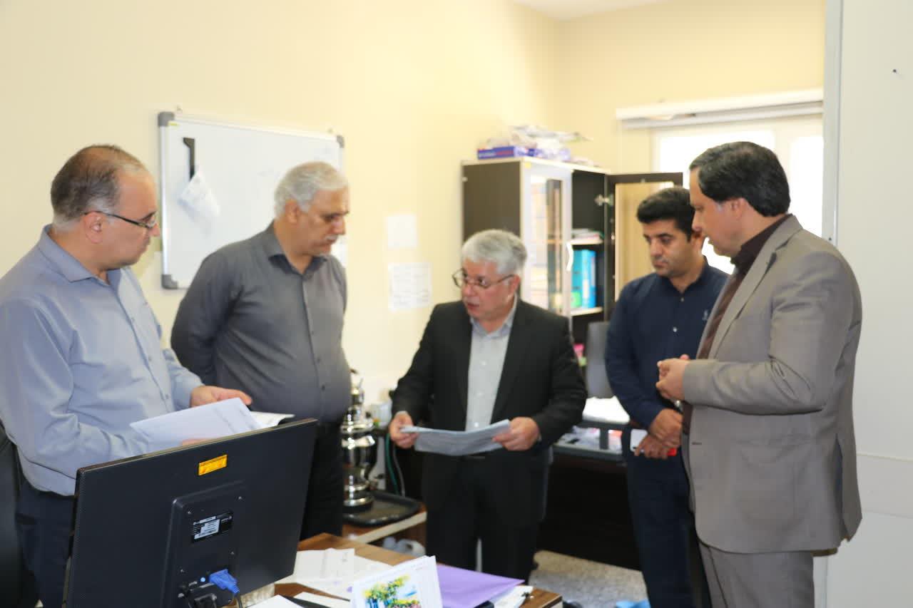 معرفی چهار طرح‌ پژوهشی برتر مراغه در حوزه سلامت