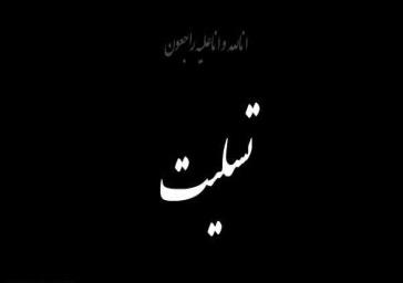 در سومین روز هفته سلامت/ همایش سفیران سلامت دانش آموزی در شهرستان مراغه برگزار شد